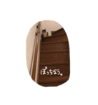 うちのくーとみー。（個別スタンプ：4）