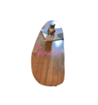 うちのくーとみー。（個別スタンプ：14）