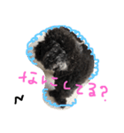 n@s（個別スタンプ：7）