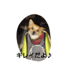 moka1（個別スタンプ：4）