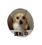 moka1（個別スタンプ：8）