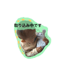 poupon3（個別スタンプ：14）