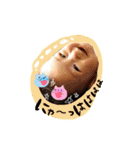 poupon3（個別スタンプ：30）