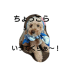 HIROPONKICHI（個別スタンプ：7）