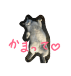 チョロゾウの我が儘すぎて 幸せ過ぎて（個別スタンプ：15）
