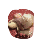 天使のささやきII（個別スタンプ：2）