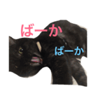 じぇーびースタンプ（個別スタンプ：6）