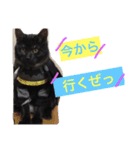 じぇーびースタンプ（個別スタンプ：9）