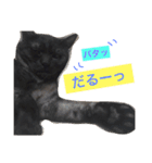 じぇーびースタンプ（個別スタンプ：11）