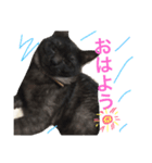 じぇーびースタンプ（個別スタンプ：13）