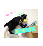じぇーびースタンプ（個別スタンプ：15）
