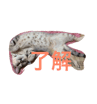 ビビ^._.^（個別スタンプ：4）