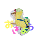 NODA KOTAROU（個別スタンプ：5）