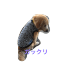 らっくん だよ（個別スタンプ：27）