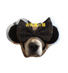 らっくん だよ（個別スタンプ：33）