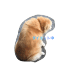 らっくん だよ（個別スタンプ：37）