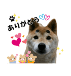 いちごちゃん スタンプ（個別スタンプ：2）