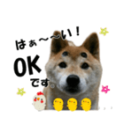 いちごちゃん スタンプ（個別スタンプ：5）
