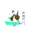 アオアシカツオドリのスタンプ（個別スタンプ：6）