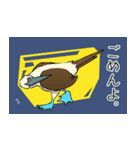 アオアシカツオドリのスタンプ（個別スタンプ：10）