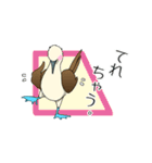 アオアシカツオドリのスタンプ（個別スタンプ：32）
