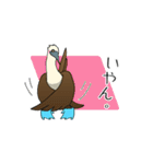 アオアシカツオドリのスタンプ（個別スタンプ：38）