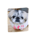 テト2（個別スタンプ：1）