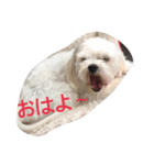 komunonichijou（個別スタンプ：1）