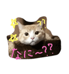 まろのすけ（個別スタンプ：2）
