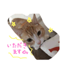 まろのすけ（個別スタンプ：4）