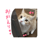 まろのすけ（個別スタンプ：11）