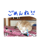 まろのすけ（個別スタンプ：13）