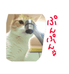 まろのすけ（個別スタンプ：14）