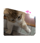 まろのすけ（個別スタンプ：18）