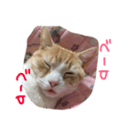 まろのすけ（個別スタンプ：19）