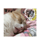 まろのすけ（個別スタンプ：22）