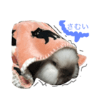 うさぎのころ（個別スタンプ：2）