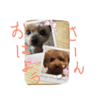 じゅりさんと愉快な仲間たち（個別スタンプ：2）