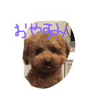じゅりさんと愉快な仲間たち（個別スタンプ：8）
