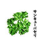 パセリ100%（個別スタンプ：13）