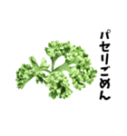 パセリ100%（個別スタンプ：14）