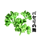 パセリ100%（個別スタンプ：23）