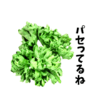 パセリ100%（個別スタンプ：28）