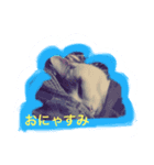 アミリア・ロビリア（個別スタンプ：1）
