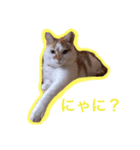 アミリア・ロビリア（個別スタンプ：2）