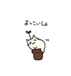 ネコ科の植物 2（個別スタンプ：10）