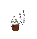 ネコ科の植物 2（個別スタンプ：12）
