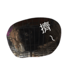 台湾の黒い猫（個別スタンプ：5）
