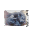 台湾の黒い猫（個別スタンプ：7）