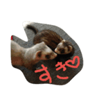 みんな大好きフェレット（個別スタンプ：9）